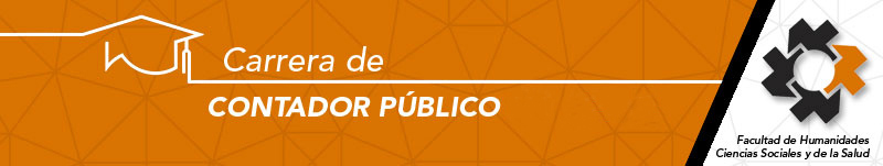 banners_contador_publico.jpg