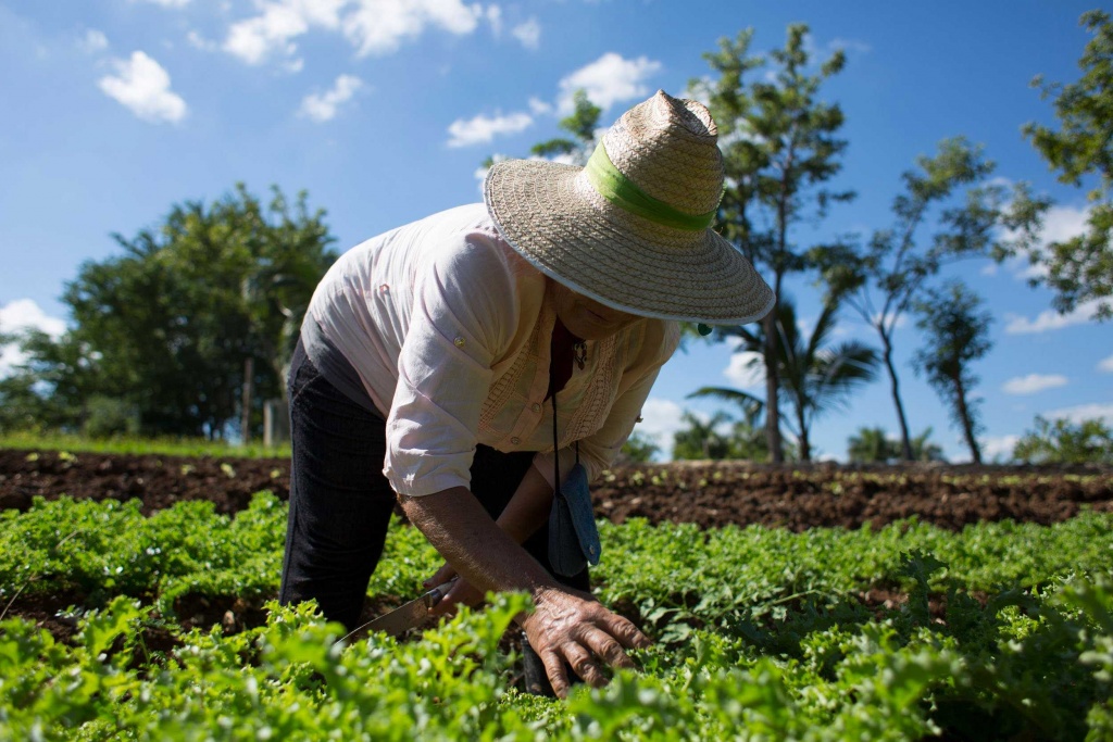 agriculturafamiliar.jpg